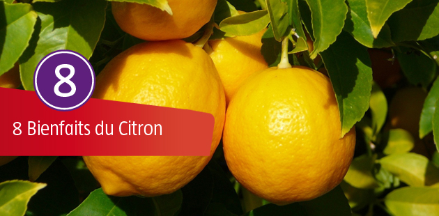 8 Bienfaits du Citron